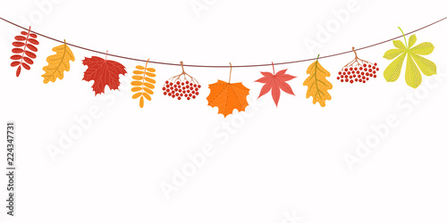 Fototapeta Ręcznie rysowane ilustracji wektorowych z jesiennych liści wiszących na sznurku. Pojedyncze obiekty na białym tle. Projekt płaski. Koncepcja sezonowego banera, plakatu, karty.