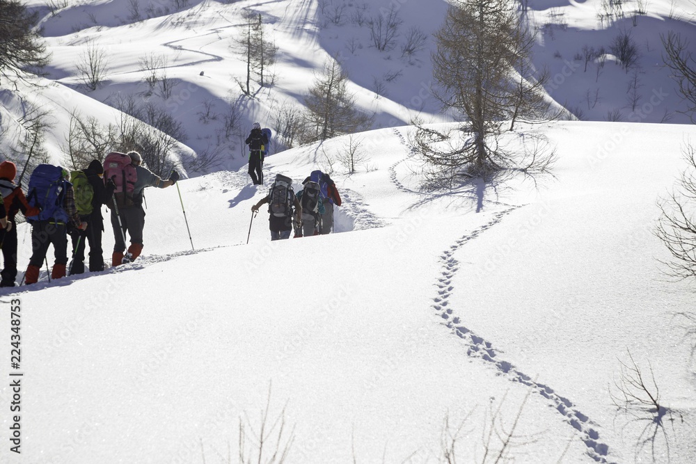 Fototapeta premium Some hikers face the snowy mountain on a sunny day, equipped with snowshoes.