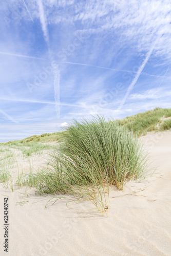 Dünenlandschaft an der Nordsee – Niederlande photo