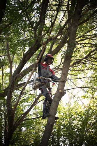 Man climbs up on a tree. Man is wearing safety equipment clothes