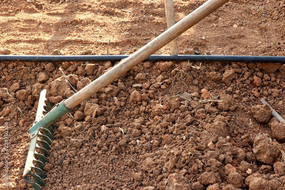Farmer using a rake to level the brown soil in the garden. 
