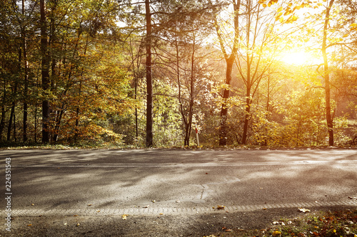 Autumn road background and free space for your decoration. 