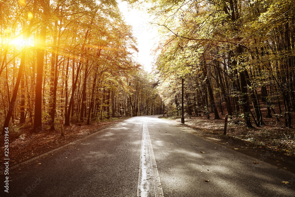 Autumn road background and sunset time. Autumn road background and sunset time.