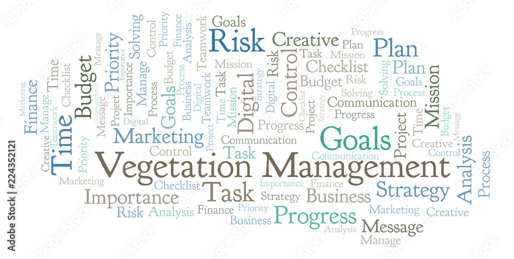 Fototapeta premium Vegetation Management word cloud, made with text only.