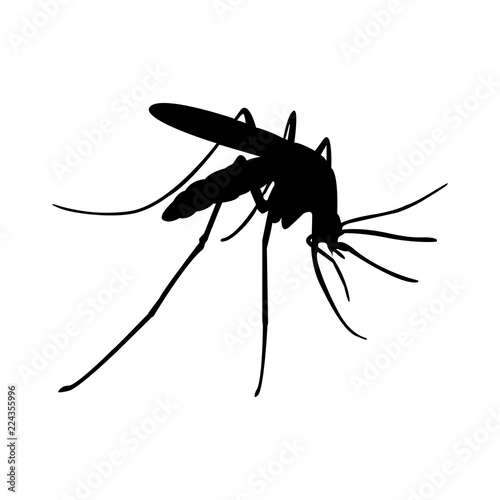 mosquito logo design template vector