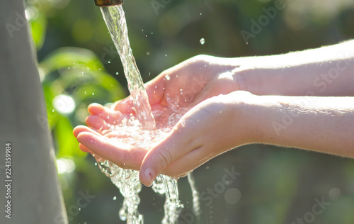 mani di bambina che raccolgono acqua di fonte photo