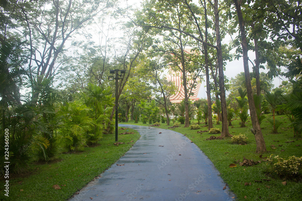 Path on the park