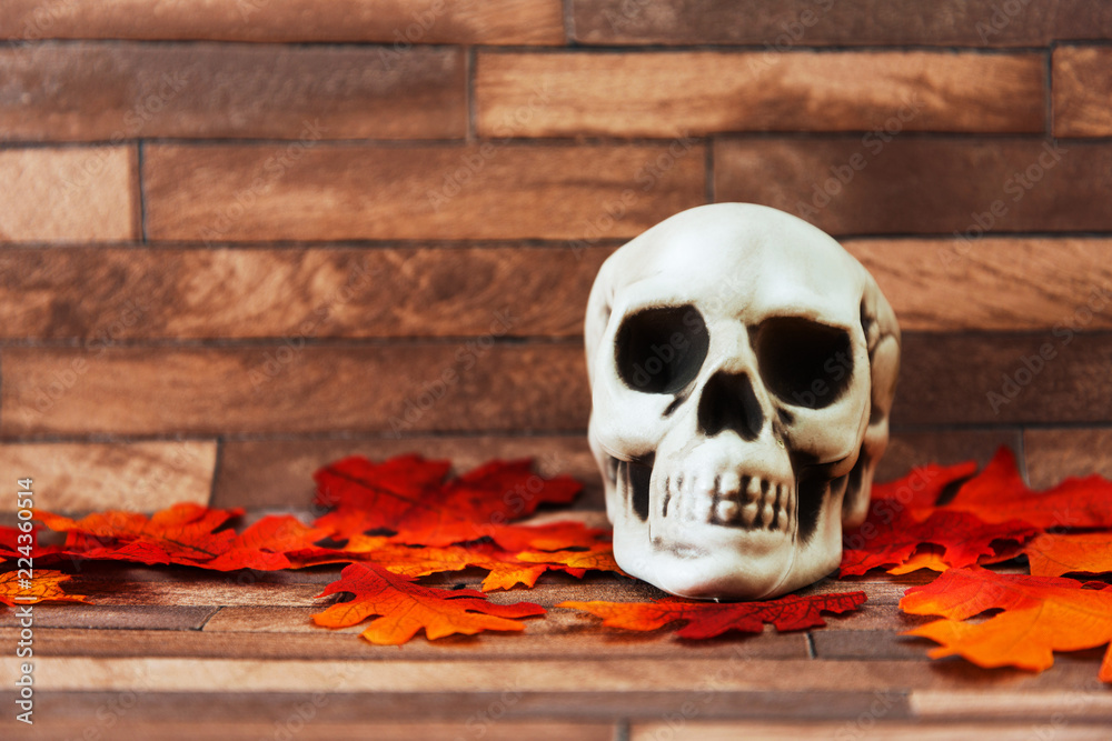 Halloween concept with a pumpkin and skeleton on background Halloween concept with a pumpkin and skeleton on background