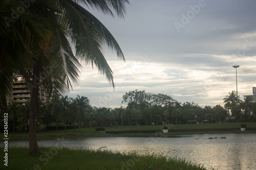 beautiful summer landscape beautiful sunset over the lake