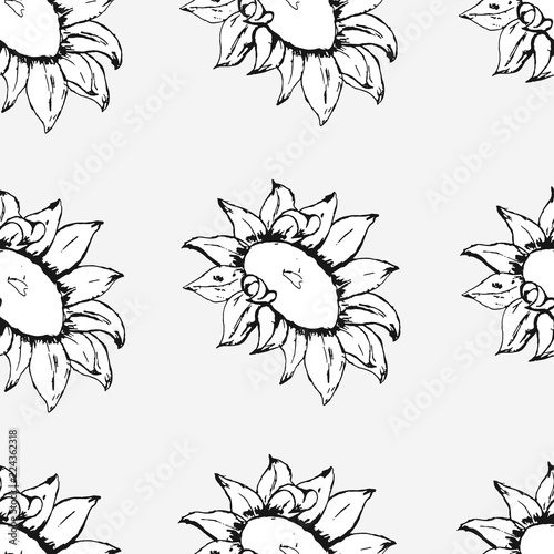 Hand drawn sunflower. Seamless pattern. Vector illustration.