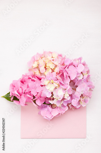 Fototapeta Naklejka Na Ścianę i Meble -  Hortensia flowers. Concept of celebration, greetings and holidays