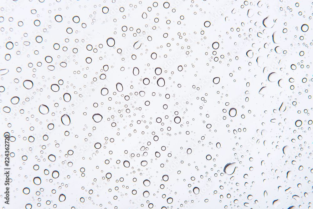 Water drops , Rain droplets on white background .