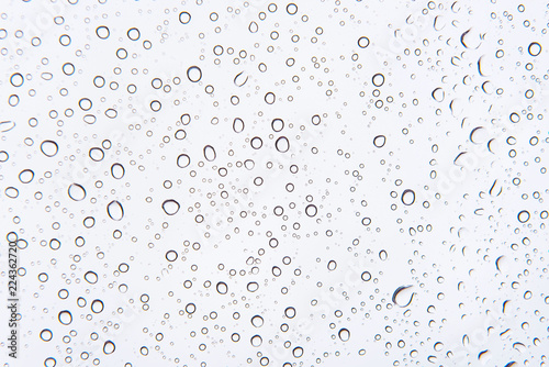 Water drops , Rain droplets on white background .