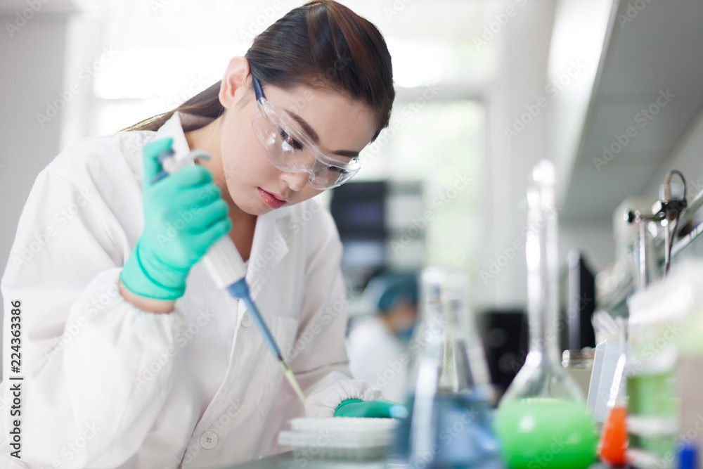 Fototapeta premium people working at laboratory