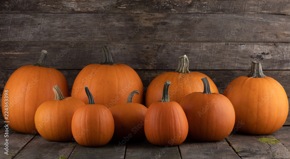 Pumpkins on wooden background Pumpkins on wooden background