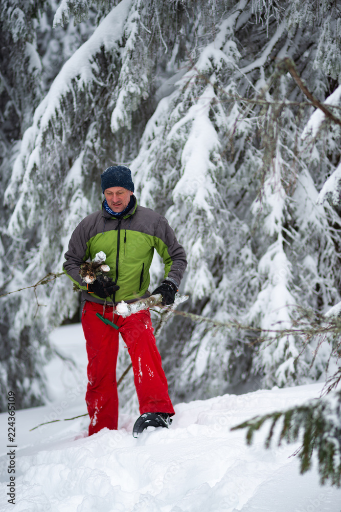 Smiling adventurer with firewood in his hands is walking in snowshoes