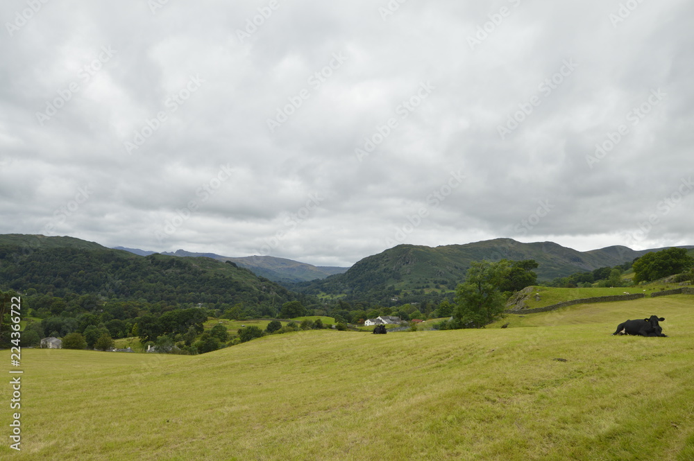 Lake District View Hills & Fields