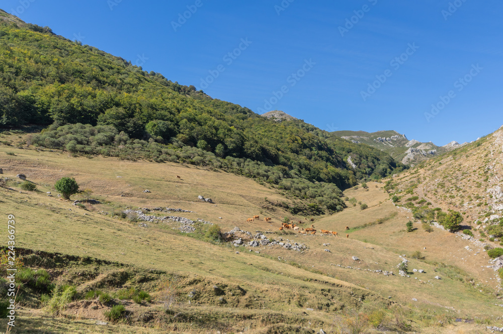 View of a valley in leon mountain during a trekking activity