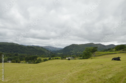 Lake District View Hills & Fields