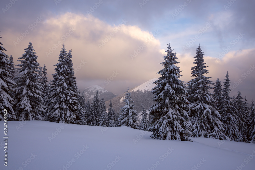 Magical sunset in the winter mountains after snowfall