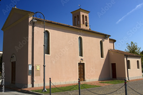 Secular oak tree in Fossalta di Portogruaro (Ve), almost 700 years old photo