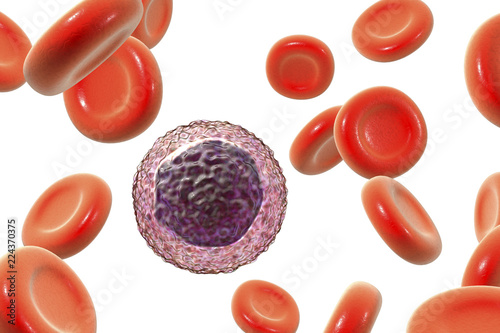 Lymphocyte surrounded by red blood cells photo