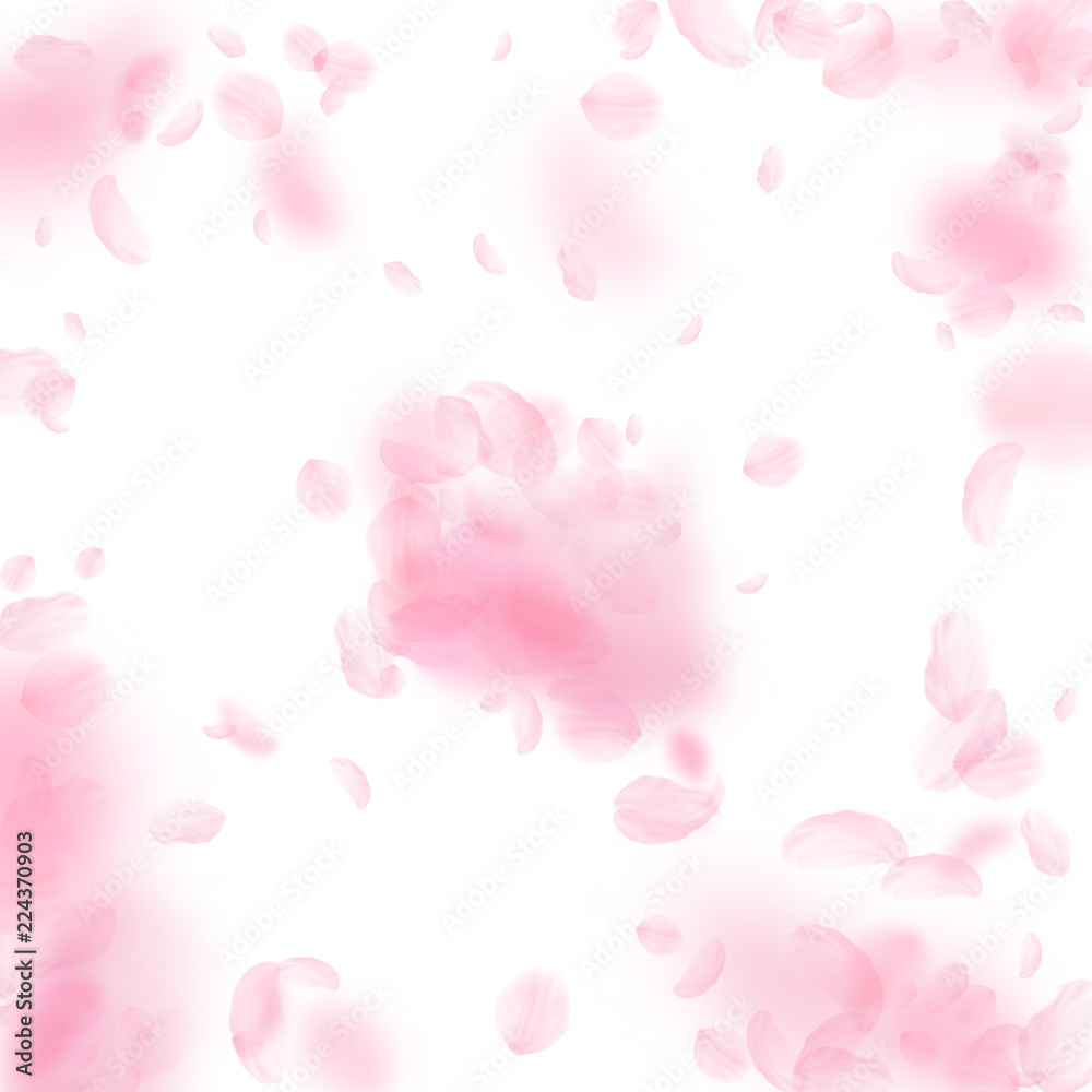 Sakura petals falling down. Romantic pink flowers 