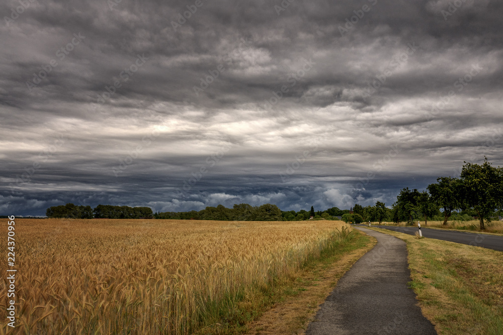 Obraz premium Feldrand