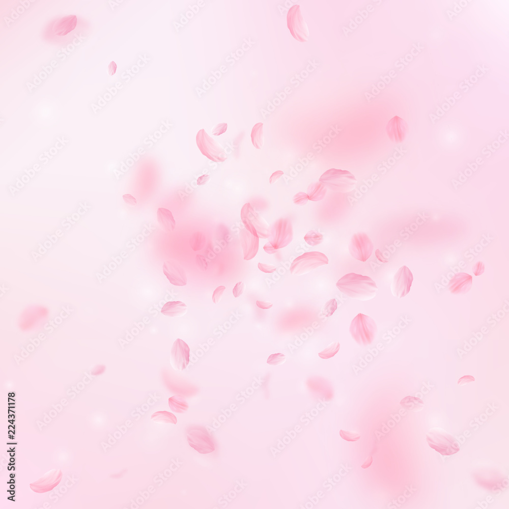 Sakura petals falling down. Romantic pink flowers 