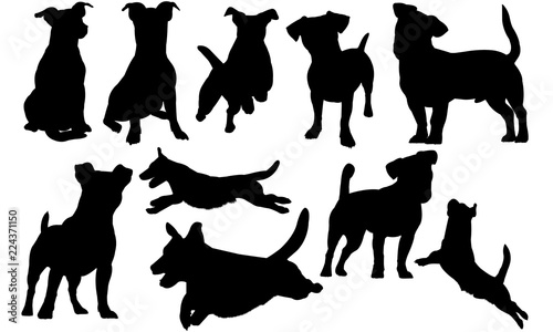 Jack Russell Terrier Dog svg files cricut,  silhouette clip art, Vector illustration eps, Black Dog  overlay