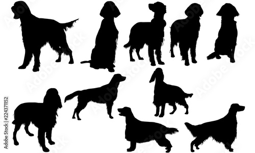 Irish Setter Dog svg files cricut,  silhouette clip art, Vector illustration eps, Black Dog  overlay