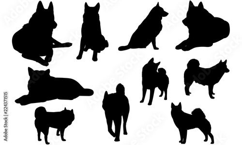 Norwegian Elkhound Dog svg files cricut,  silhouette clip art, Vector illustration eps, Black Dog  overlay