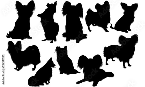 Papillon Dog svg files cricut,  silhouette clip art, Vector illustration eps, Black Dog  overlay
