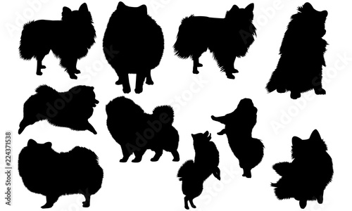 Pomeranian Dog svg files cricut,  silhouette clip art, Vector illustration eps, Black Dog  overlay