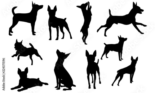 Toy Fox Terrier Dog svg files cricut,  silhouette clip art, Vector illustration eps, Black Dog  overlay