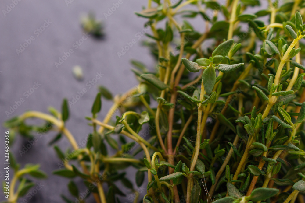 essential oil of thyme on a dark stone background essential oil of thyme on a dark stone background