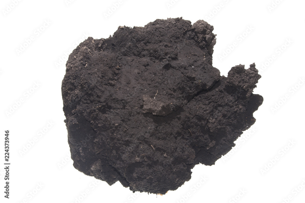 Fototapeta premium earth isolated on white background