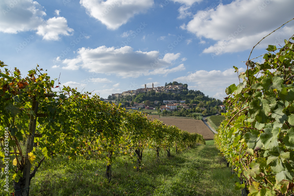 Vineyards and a small Italian city