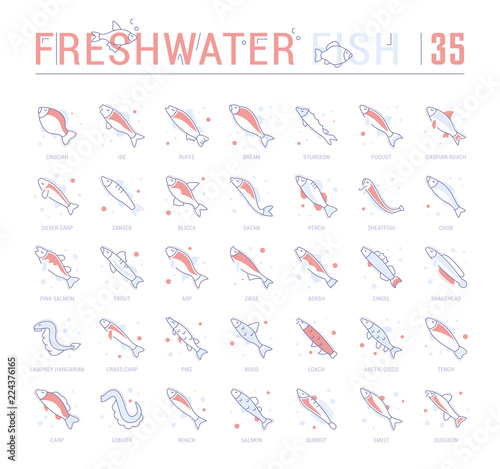 Set Blue Line Icons of Freshwater Fish