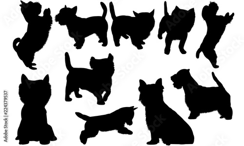 Westie dog Dog svg files cricut,  silhouette clip art, Vector illustration eps, Black Dog  overlay photo
