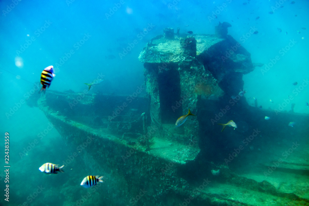 Fototapeta premium Wrack