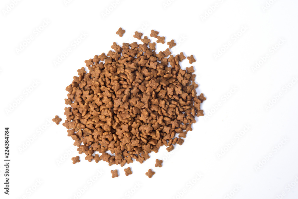 closeup of feed of dog closeup of feed of dog