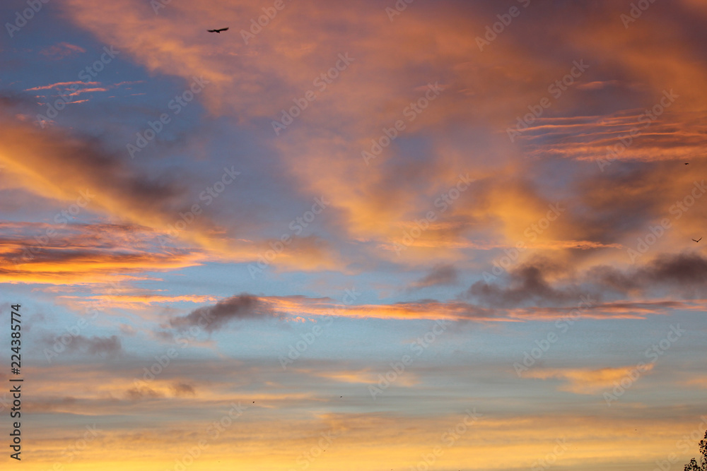 Fototapeta premium Beautiful autumn dawn before sunrise