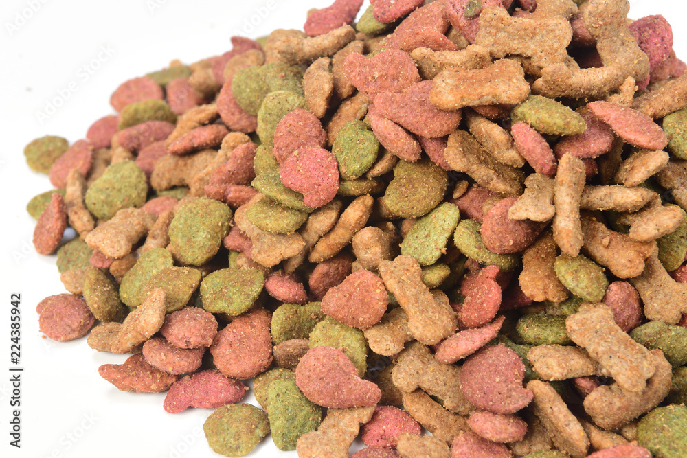 Fototapeta premium close-up of dog feed