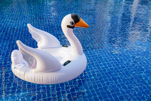 Fototapeta Naklejka Na Ścianę i Meble -  Inflatable swan on blue tile summer swimming pool.