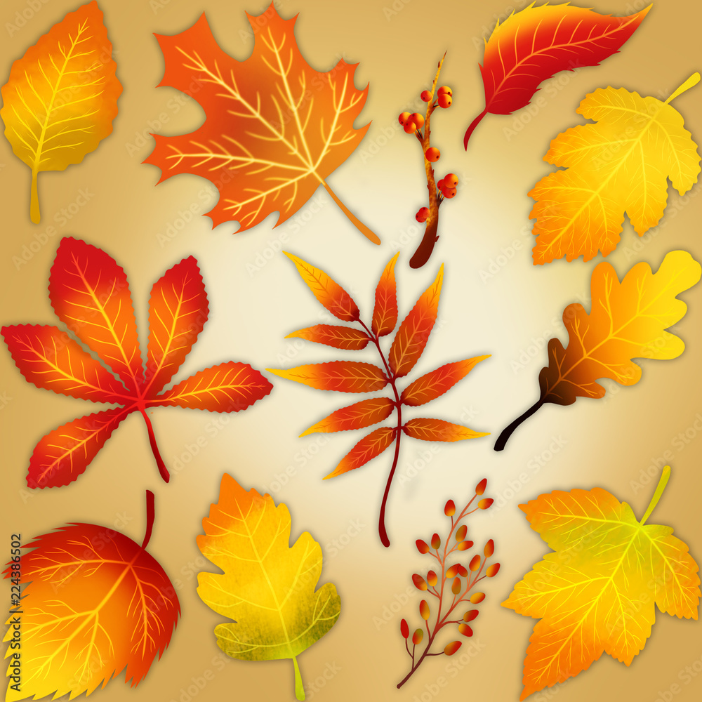 Fototapeta premium Miscellaneous different autumn falling leaves colorful set on a golden background.