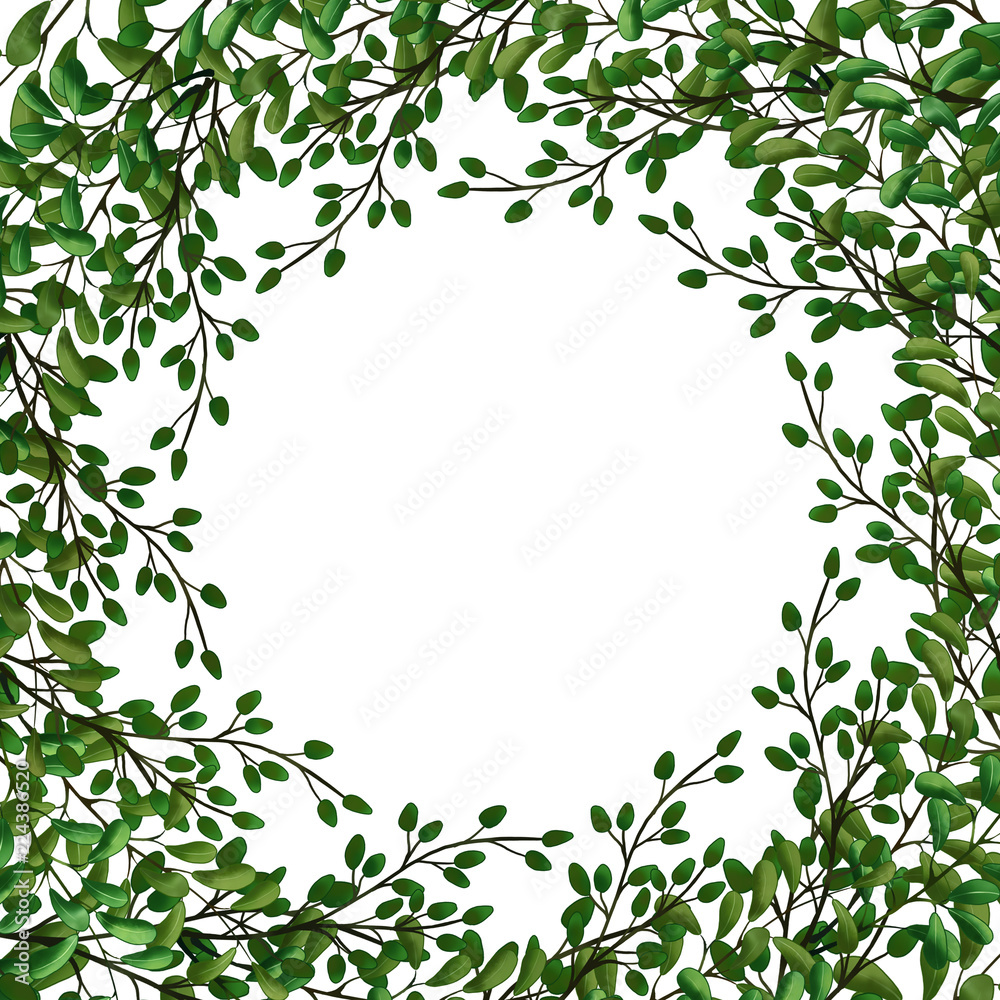 Exotic set of Green leaves, herbs and branches. Border frame template on white background. Place for text . Exotic set of Green leaves, herbs and branches. Border frame template on white background. Place for text .