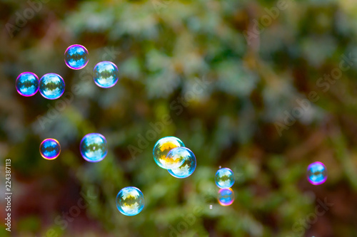 Group of colorful, mostly blue soap bubbles at the green background in a garden
