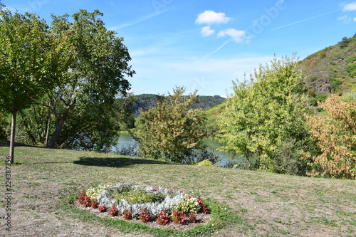 Cochem an der Mosel photo