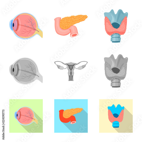 Vector design of body and human logo. Collection of body and medical vector icon for stock.